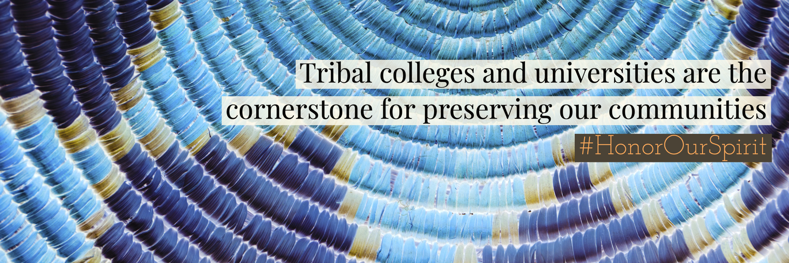 blue patterend basket with text "Tribal colleges and Universities are the cornerstone for preserving our communities"