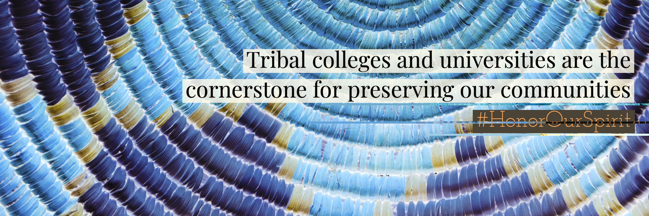 blue patterend basket with text "Tribal colleges and Universities are the cornerstone for preserving our communities"